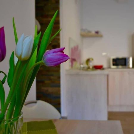 Zsizelle Rezidence Apartment Brasov Bagian luar foto