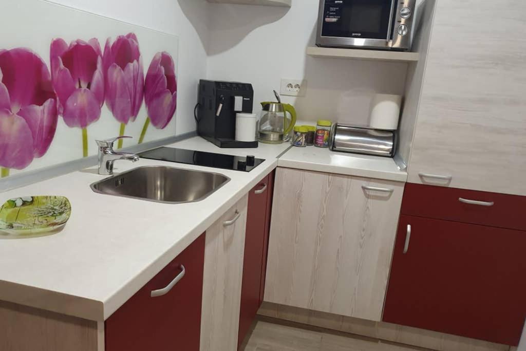 Zsizelle Rezidence Apartment Brasov Bagian luar foto