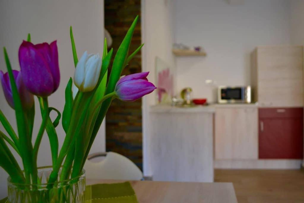 Zsizelle Rezidence Apartment Brasov Bagian luar foto