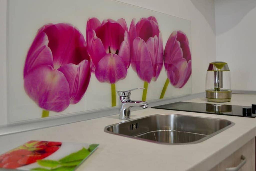 Zsizelle Rezidence Apartment Brasov Bagian luar foto