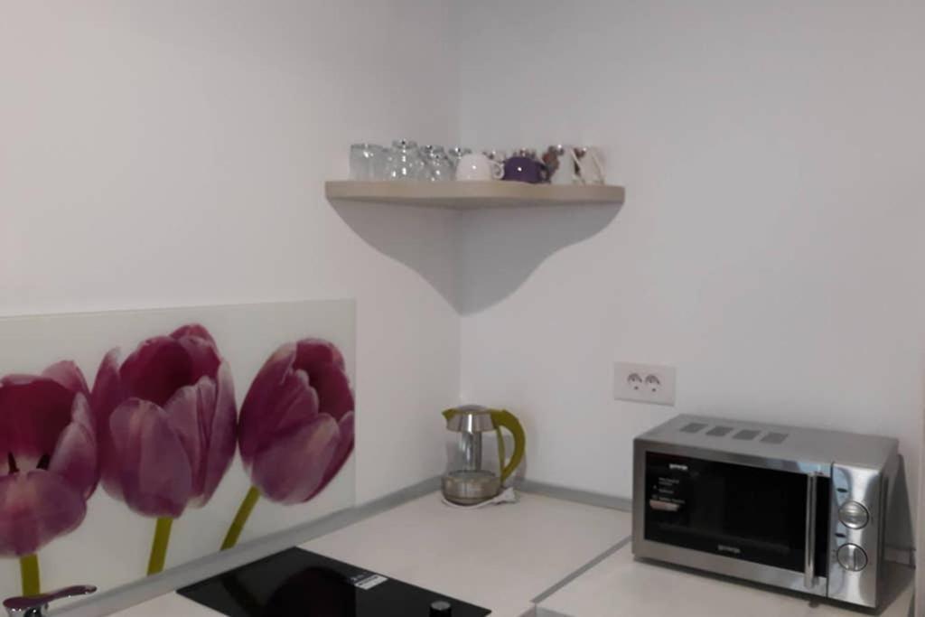 Zsizelle Rezidence Apartment Brasov Bagian luar foto