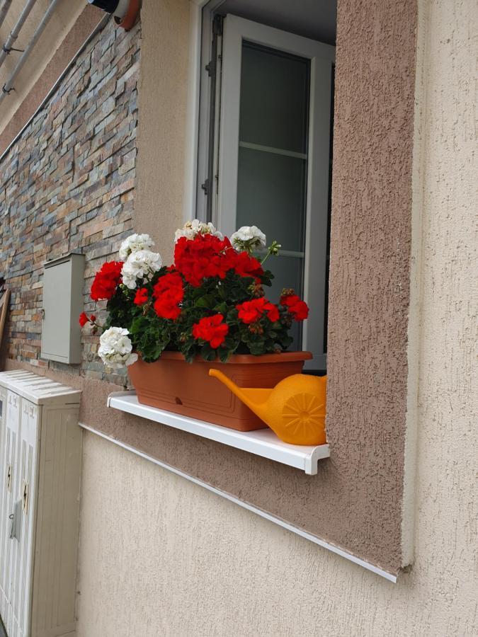 Zsizelle Rezidence Apartment Brasov Bagian luar foto