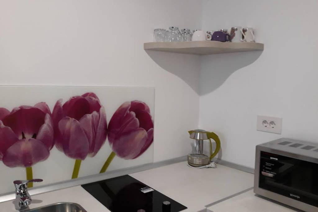 Zsizelle Rezidence Apartment Brasov Bagian luar foto